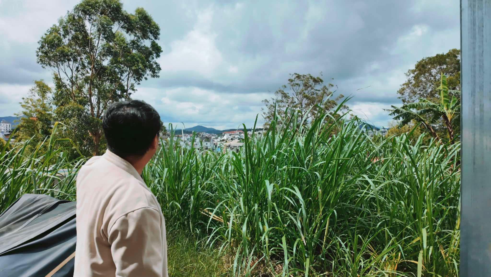Đất biệt thự đồi Ngô Quyền Đà Lạt