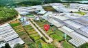 Đất biệt thự Đà Lạt – Khu dân cư Khanh Cát, đường Vòng Lâm Viên 257m2