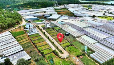 Đất biệt thự Đà Lạt – Khu dân cư Khanh Cát, đường Vòng Lâm Viên 257m2