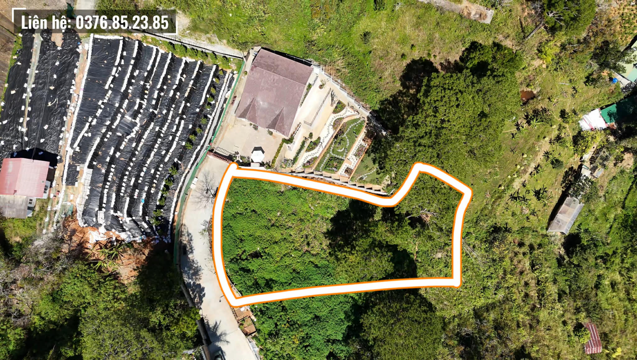 Đất view rừng thông hẻm 3 tháng 4 Đà Lạt