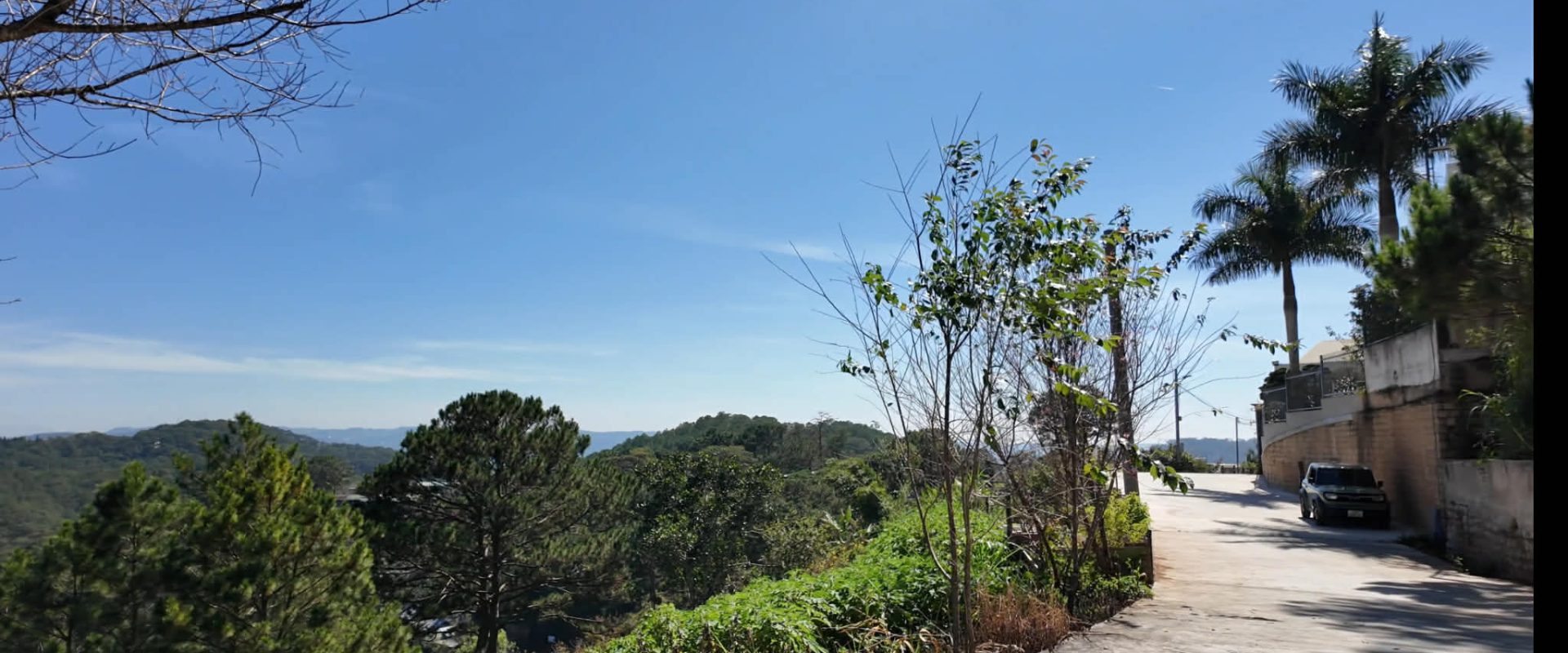 Đất view rừng thông Đà Lạt hẻm 3 tháng 4 1091m2