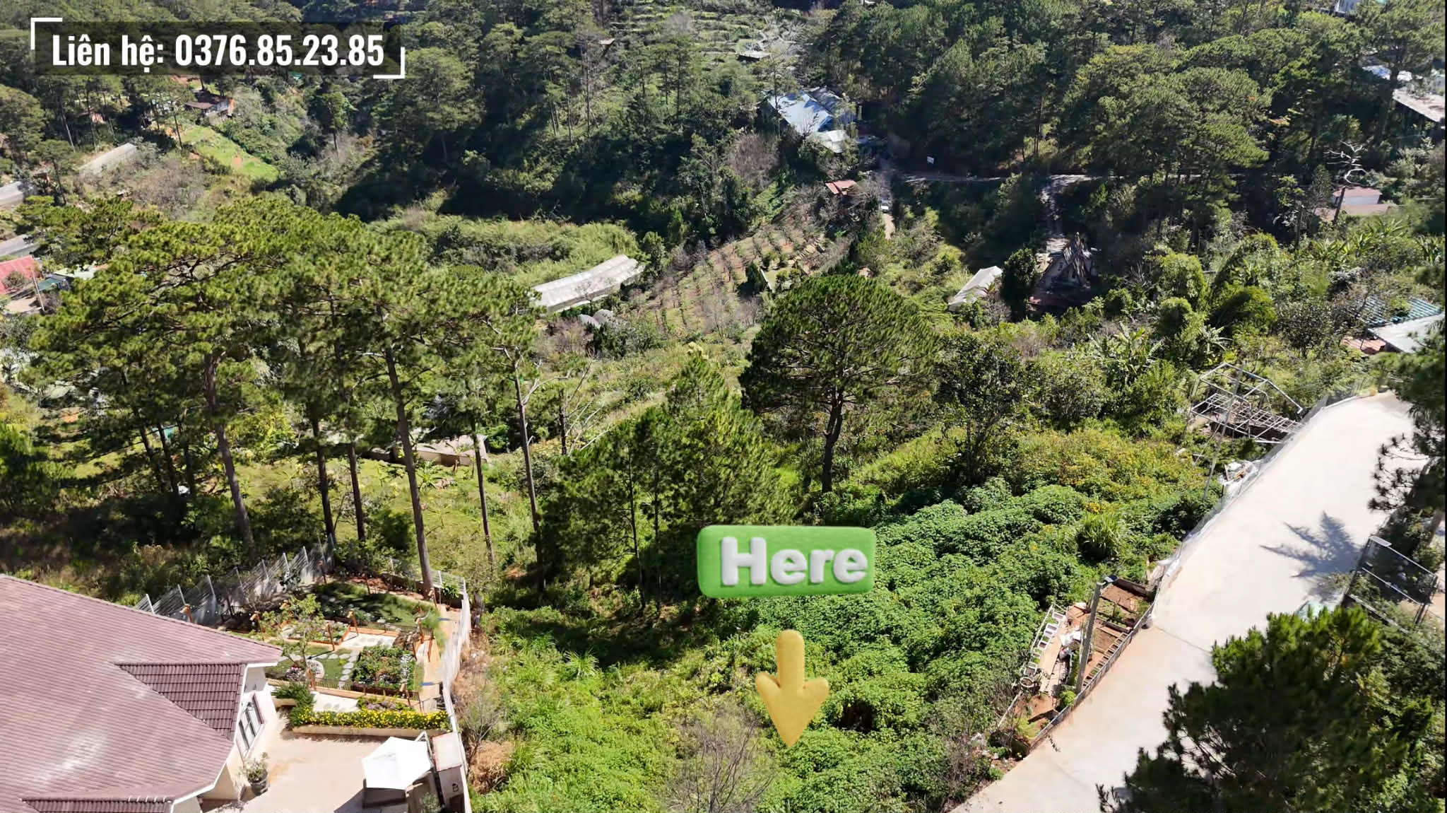 Đất view rừng thông hẻm 3 tháng 4 Đà Lạt