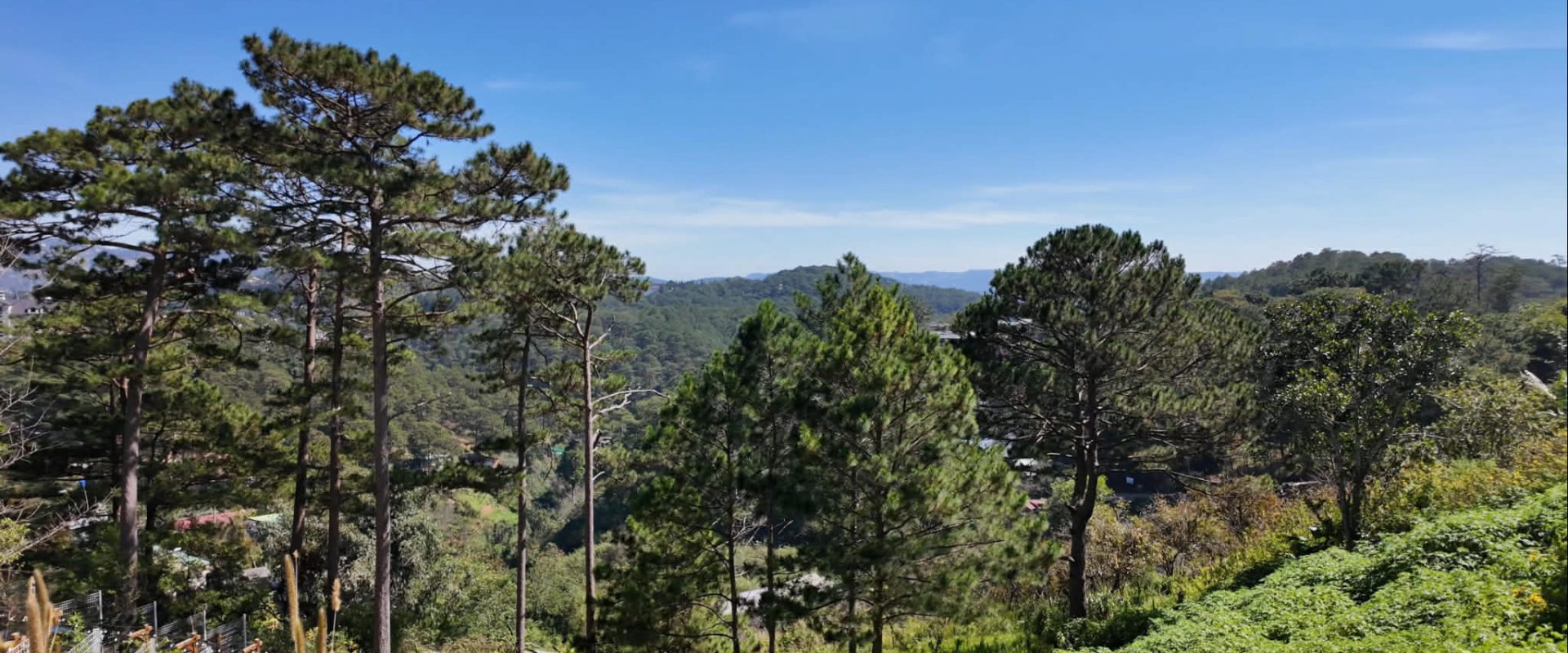 Đất view rừng thông Đà Lạt hẻm 3 tháng 4 1091m2