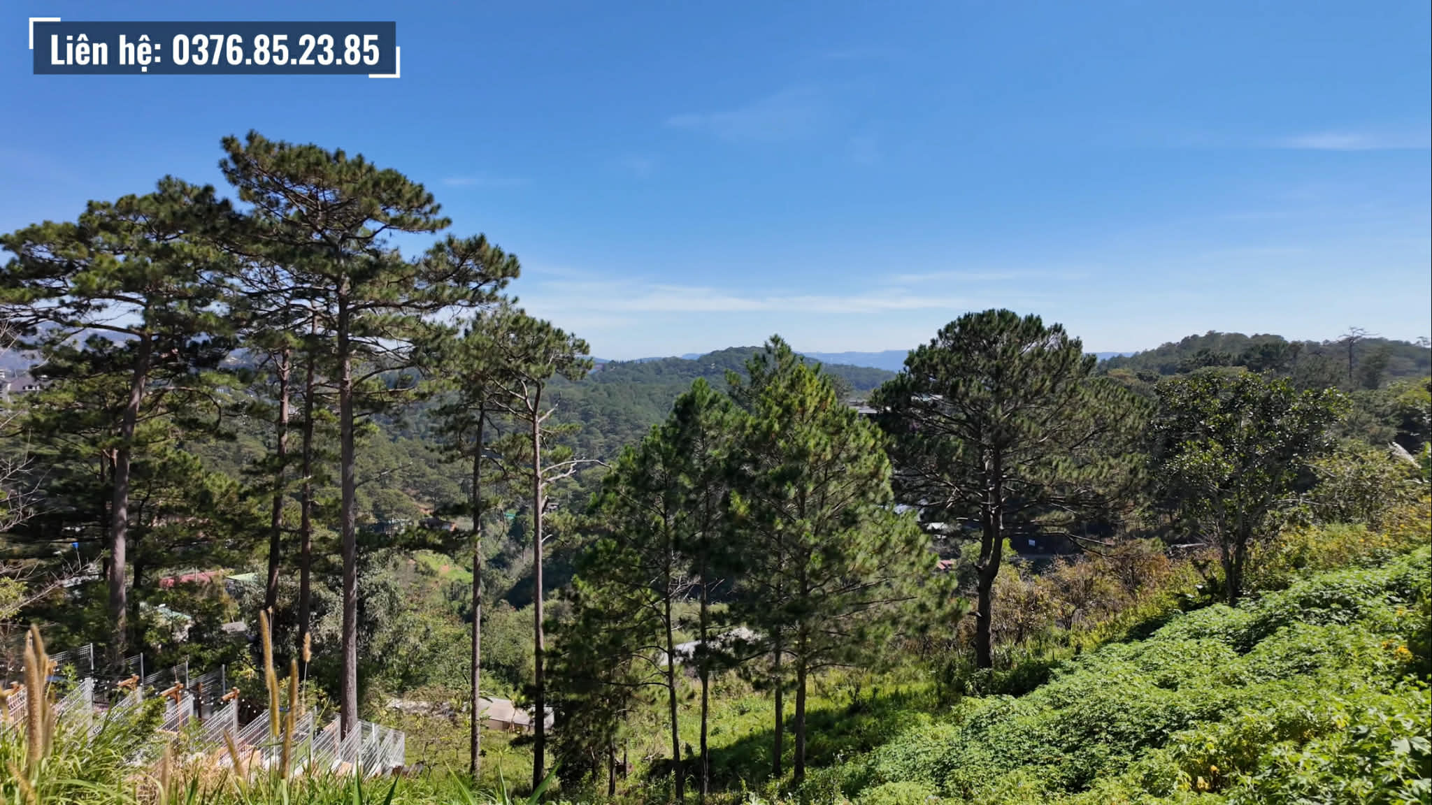 Đất view rừng thông hẻm 3 tháng 4 Đà Lạt