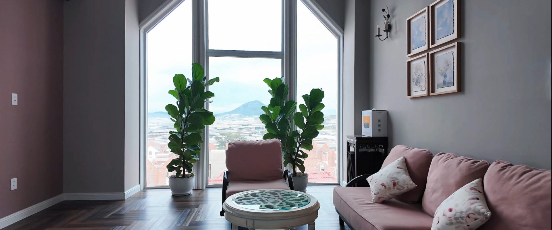 Bán Villa Trịnh Hoài Đức Đà Lạt 352m2