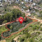 Bán Đất Khe Sanh Đà Lạt Gần 1ha Sát Rừng Thông 9380m2