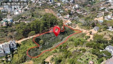 Bán Đất Khe Sanh Đà Lạt Gần 1ha Sát Rừng Thông 9380m2