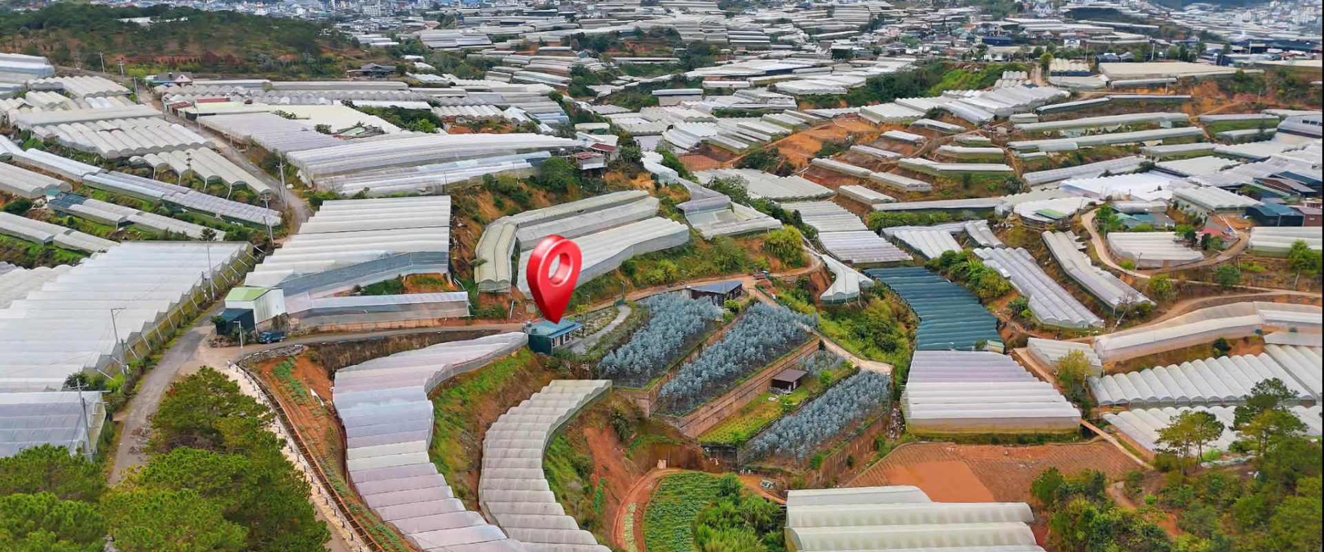 NHÀ SÂN VƯỜN TỰ TẠO ĐÀ LẠT 501m2