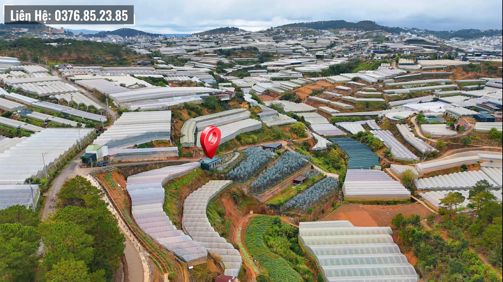 Nhà sân vườn Tự Tạo Đà Lạt