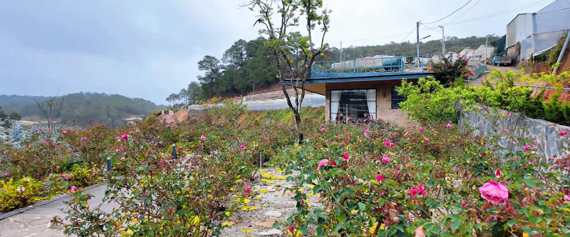 NHÀ SÂN VƯỜN TỰ TẠO ĐÀ LẠT 501m2