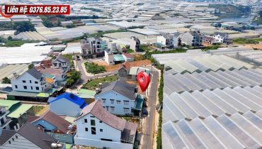 Bán Đất Biệt Thự Nguyễn Hữu Cầu Đà Lạt 198m2