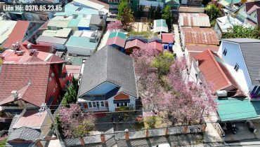 Đất Mặt Tiền Huyền Trân Công Chúa Đà Lạt 377m2