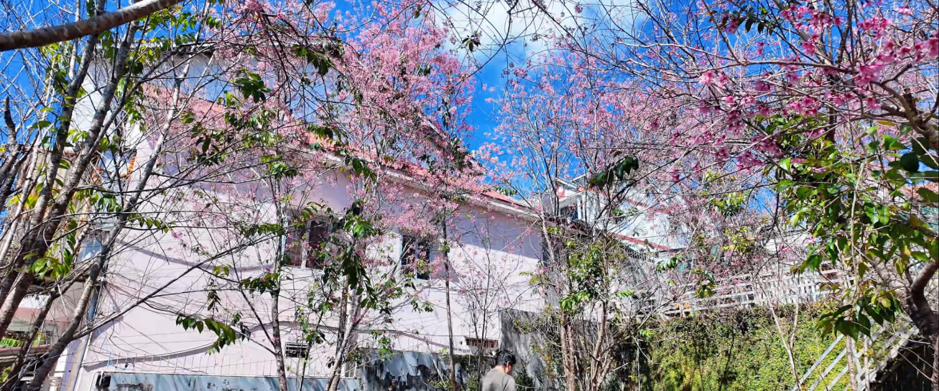 Đất Mặt Tiền Huyền Trân Công Chúa Đà Lạt 377m2