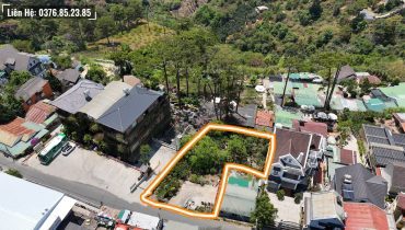 Bán Đất View Đồi Thông Hoàng Hoa Thám Đà Lạt 748m2