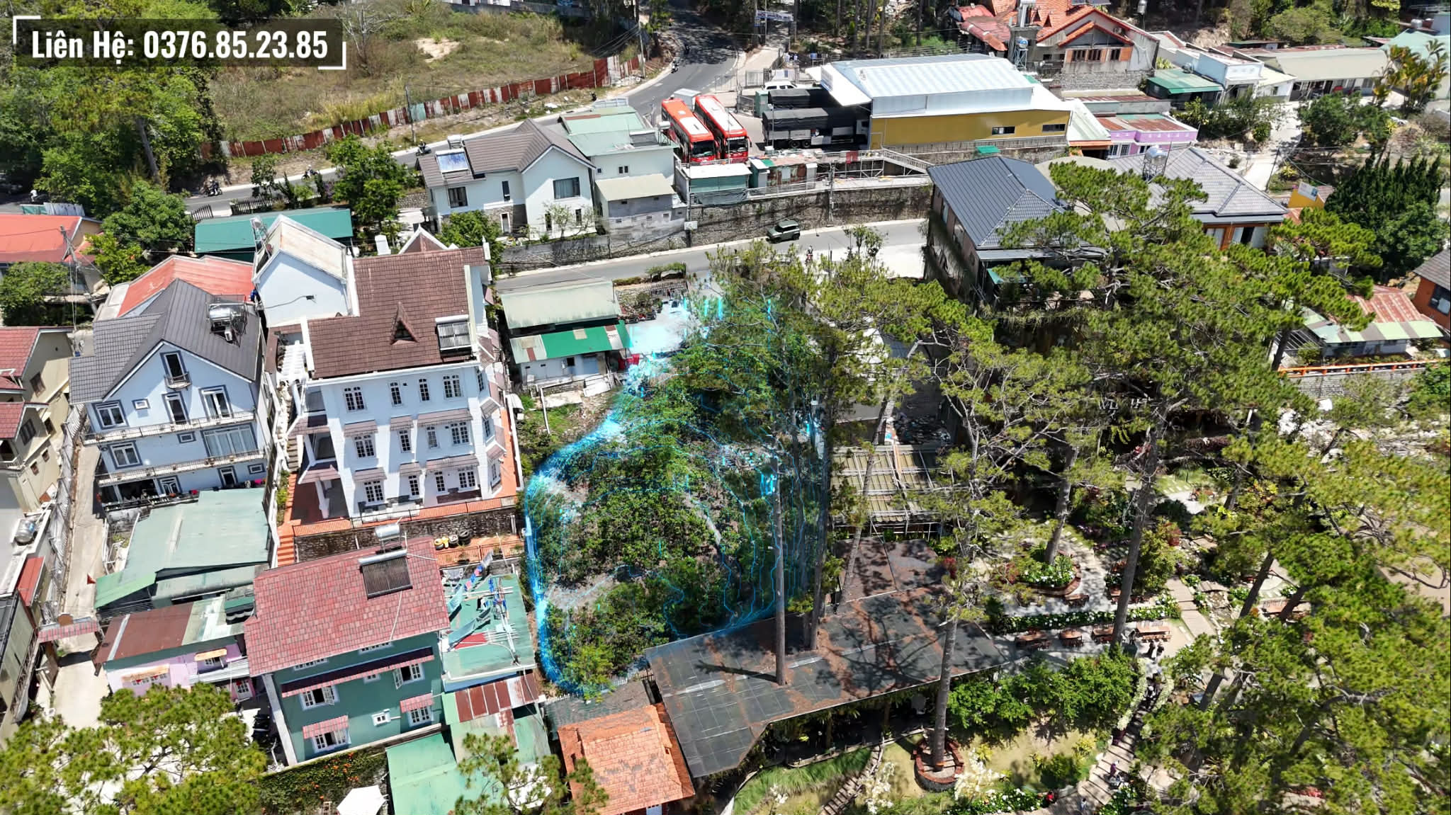 Đất view đồi thông Hoàng Hoa Thám Đà Lạt