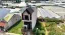 Bán Nhà Nguyễn Hữu Cầu Đà Lạt 101m2