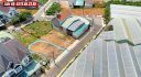 Bán Đất Biệt Thự Nguyễn Hữu Cầu Đà Lạt 198m2