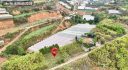 Đất Xuân Thọ Đà Lạt 500m2