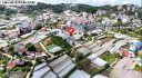 Villa Trịnh Hoài Đức Đà Lạt 304m2