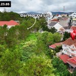 Villa Võ Trường Toản Đà Lạt 445m2