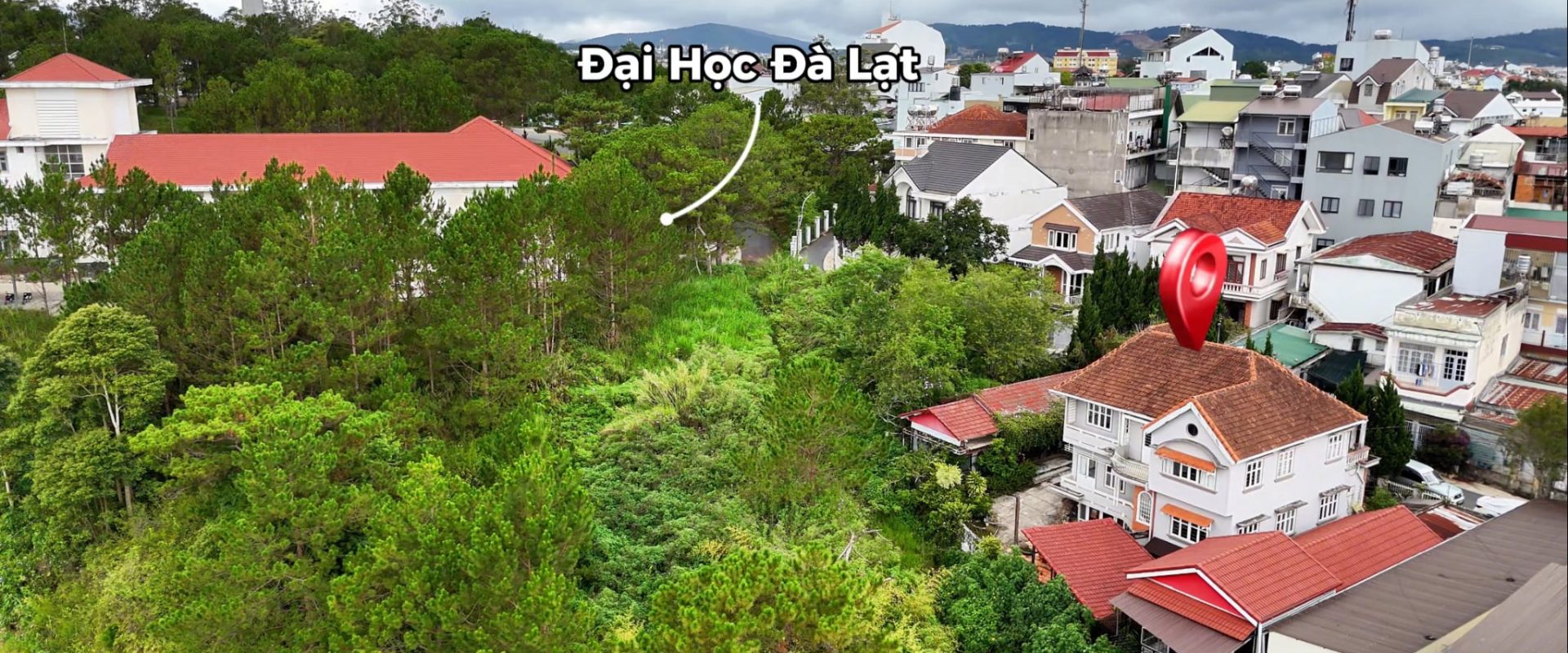 Villa Võ Trường Toản Đà Lạt 445m2