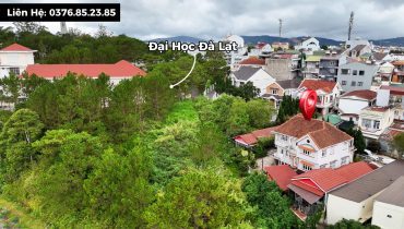 Villa Võ Trường Toản Đà Lạt 445m2