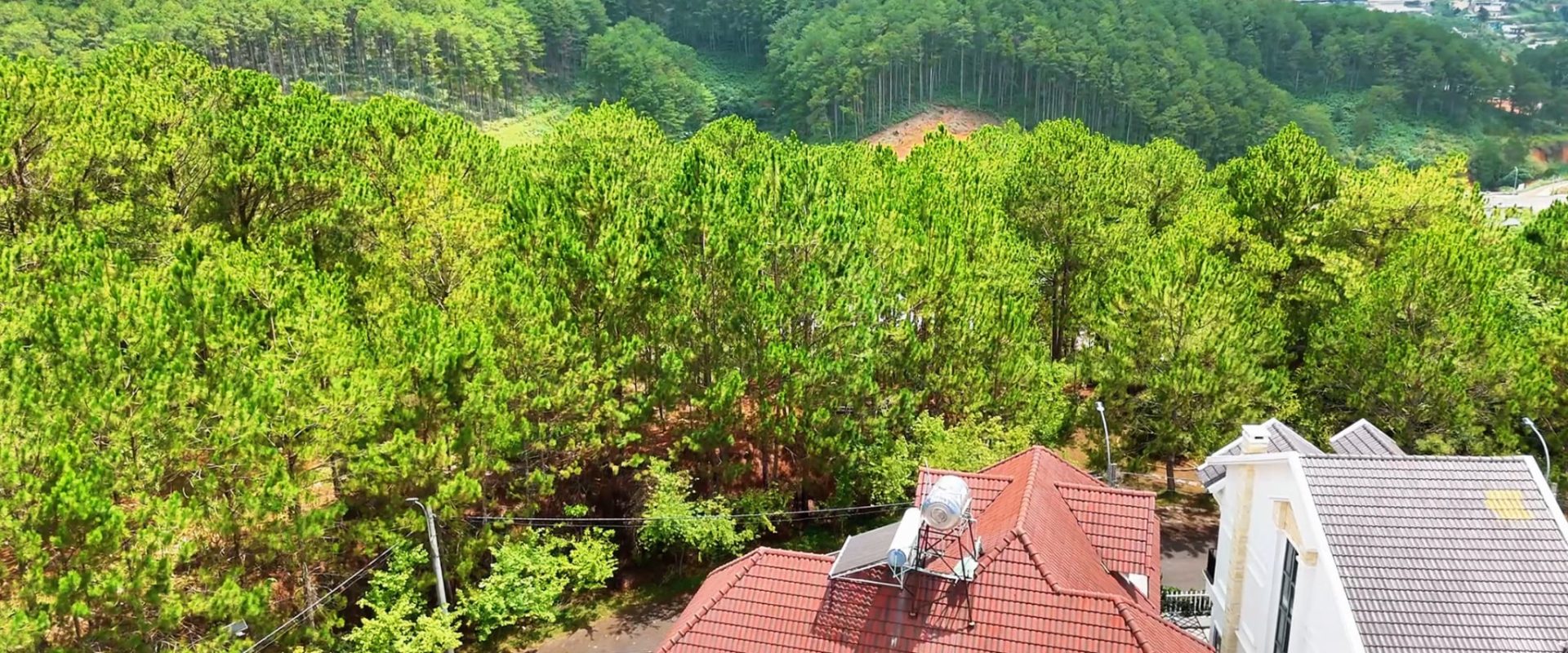 Villa An Sơn Đà Lạt View Rừng Thông 293m2