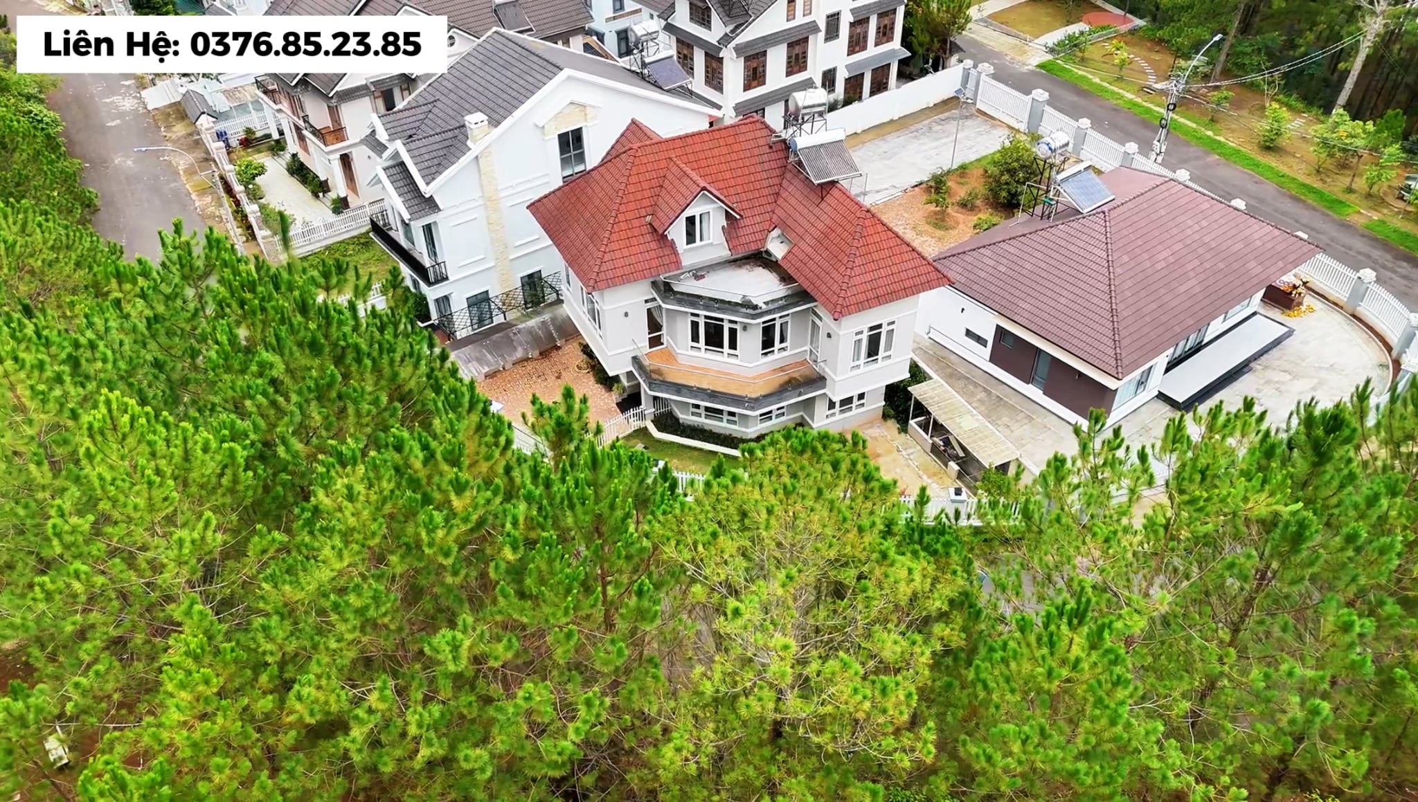 Villa An Sơn Đà Lạt view rừng thông
