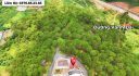 Villa An Sơn Đà Lạt View Rừng Thông 293m2