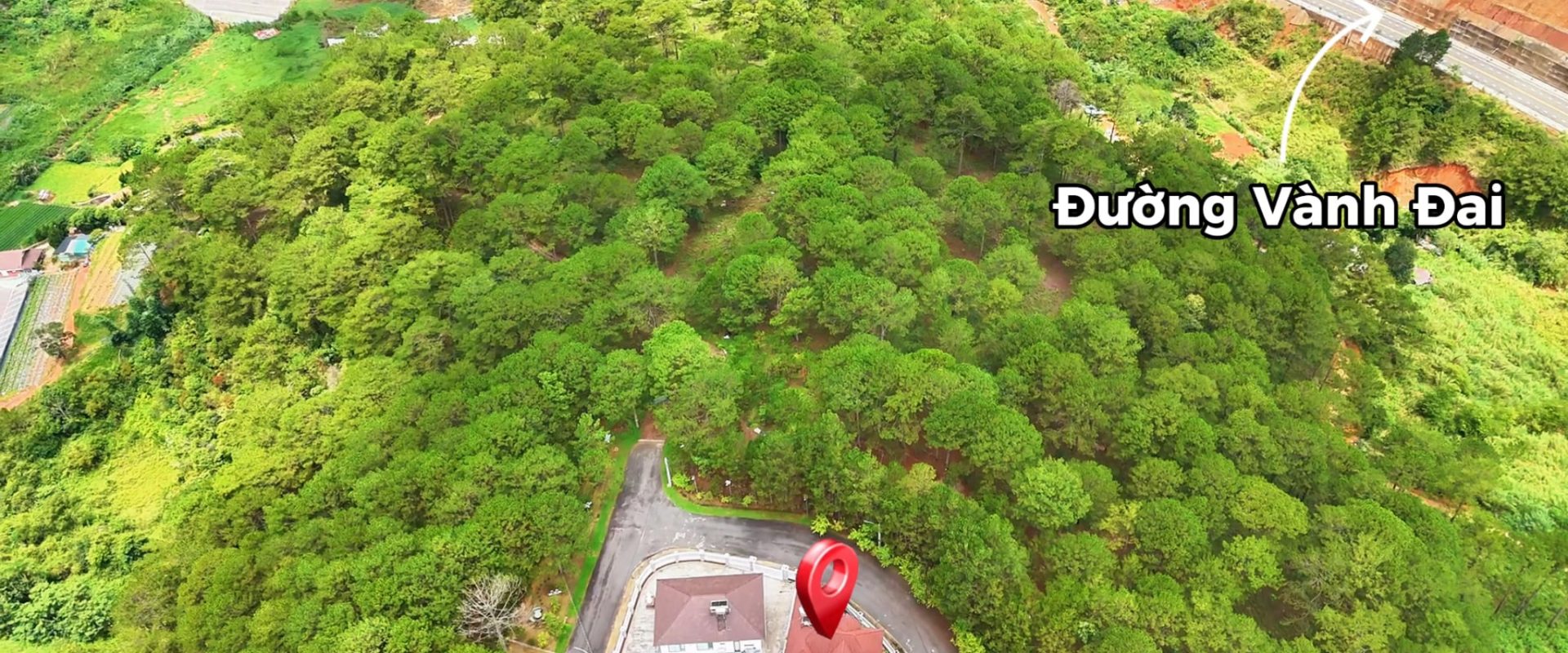 Villa An Sơn Đà Lạt View Rừng Thông 293m2