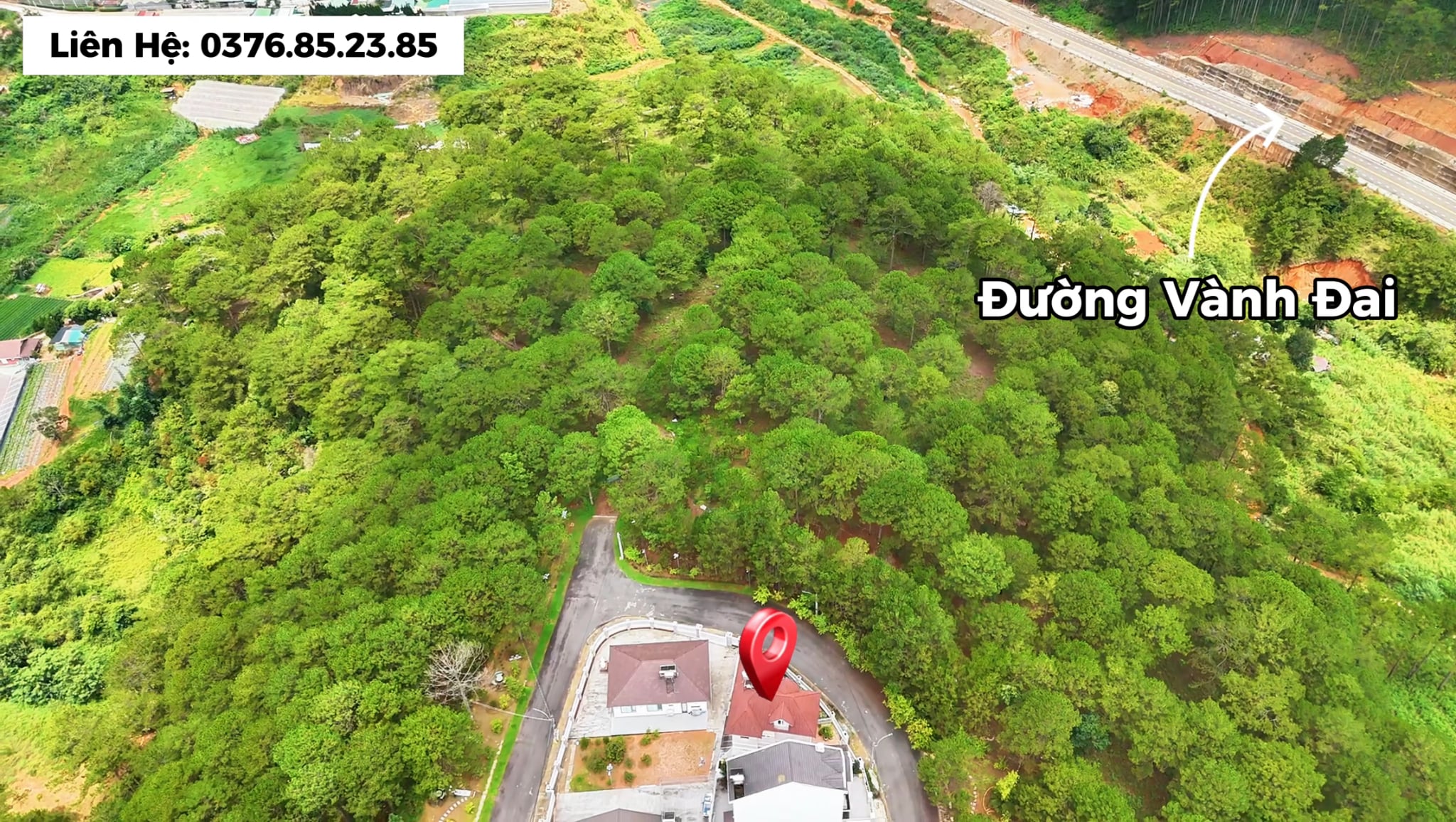 Villa An Sơn Đà Lạt view rừng thông