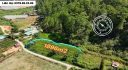 Bán Đất Giáp Rừng Thông Mimosa Đà Lạt 1896m2