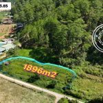 Bán Đất Giáp Rừng Thông Mimosa Đà Lạt 1896m2