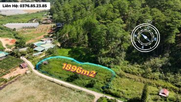 Bán Đất Giáp Rừng Thông Mimosa Đà Lạt 1896m2