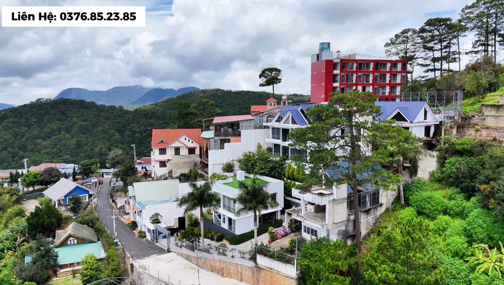 Villa Đà Lạt view rừng thông đường 3 tháng 4