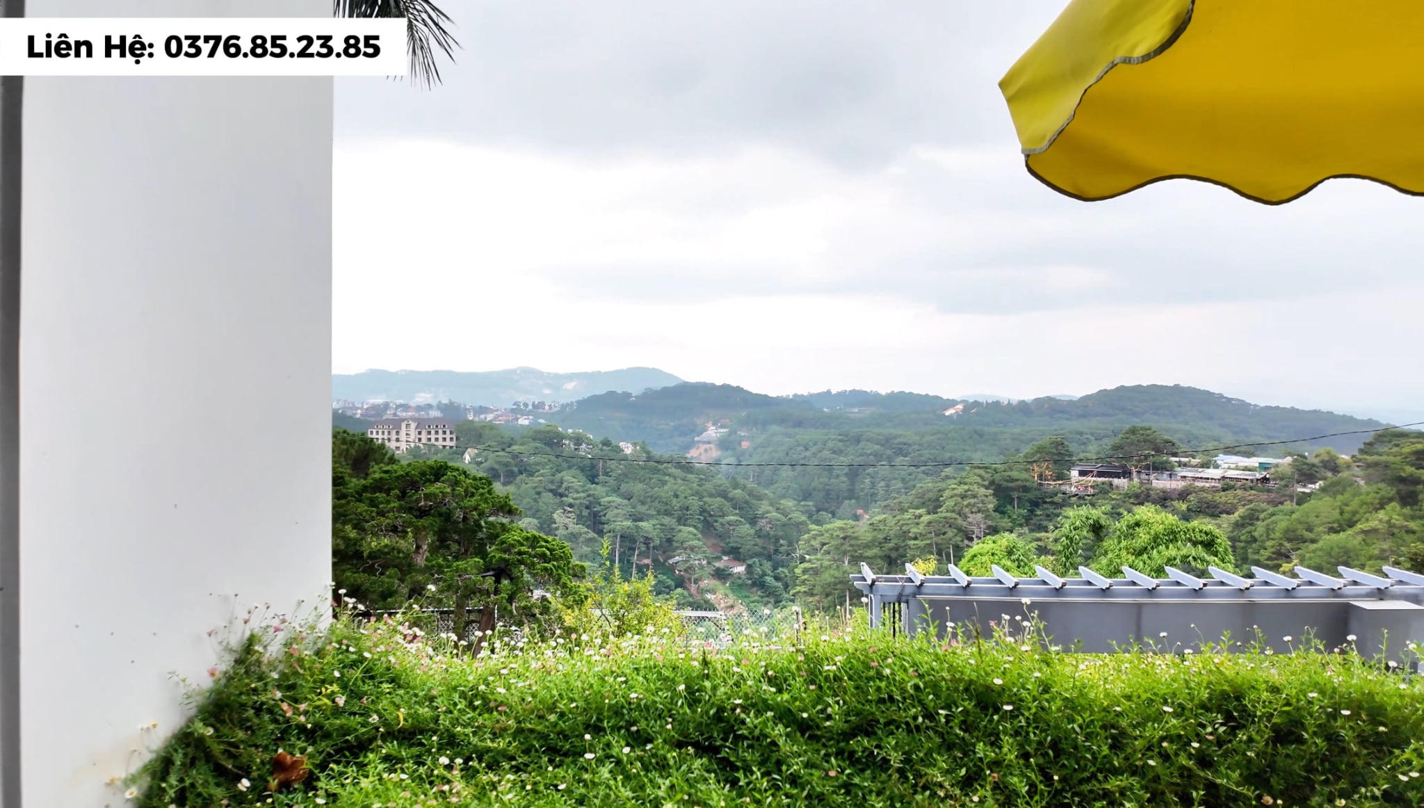 Villa Đà Lạt view rừng thông đường 3 tháng 4