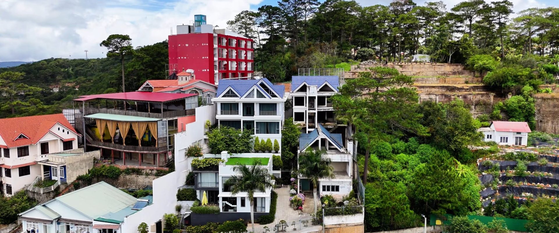 Tổ Hợp 4 Villa Đà Lạt Đường 3 Tháng 4 View Rừng Thông 1445m2