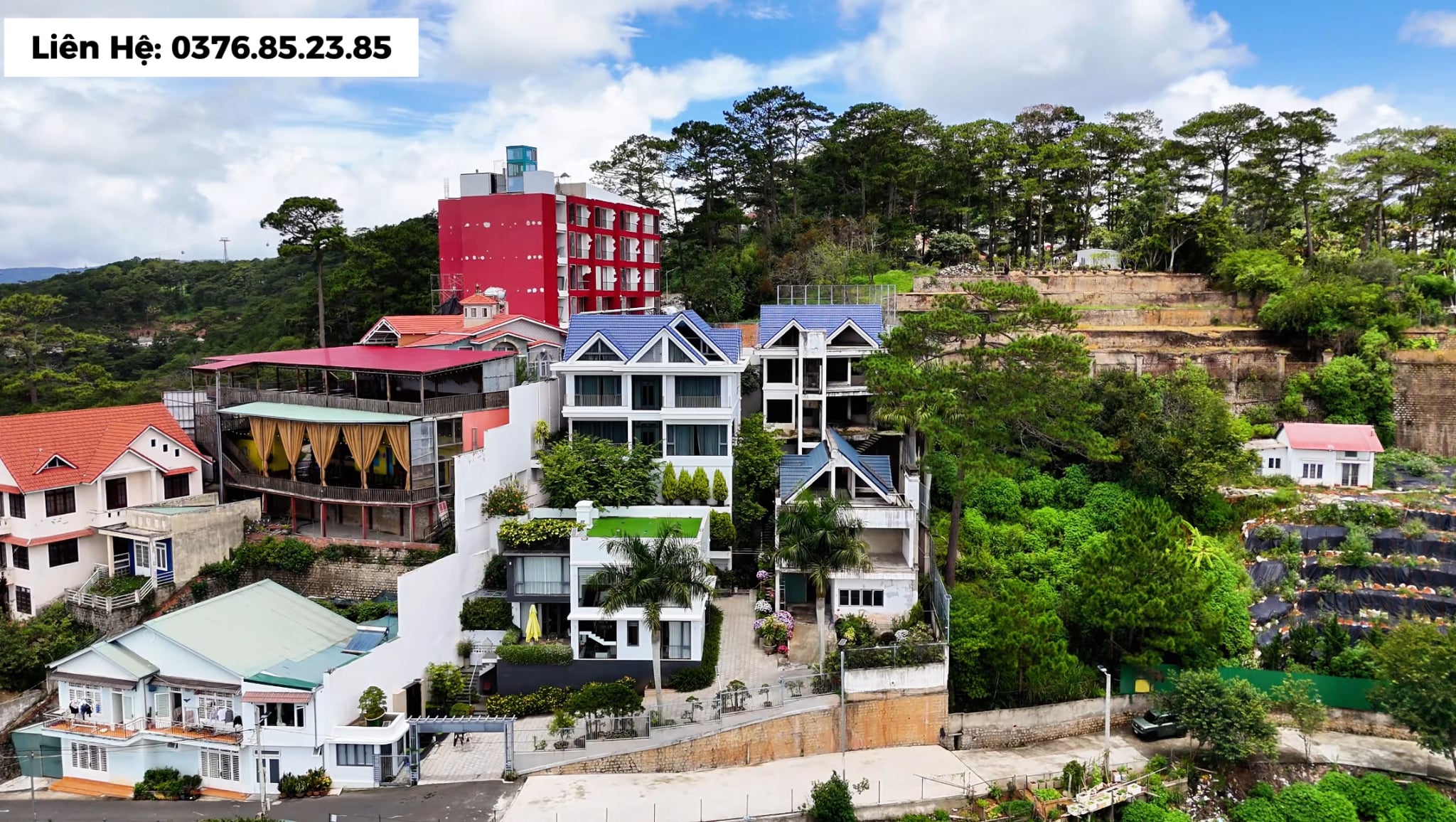 Villa Đà Lạt view rừng thông đường 3 tháng 4