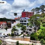 Tổ Hợp 4 Villa Đà Lạt Đường 3 Tháng 4 View Rừng Thông 1445m2