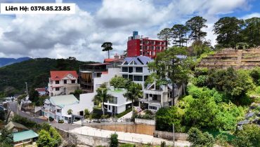 Tổ Hợp 4 Villa Đà Lạt Đường 3 Tháng 4 View Rừng Thông 1445m2