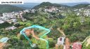 Đất View Rừng Thông Khe Sanh Đà Lạt 8234m2