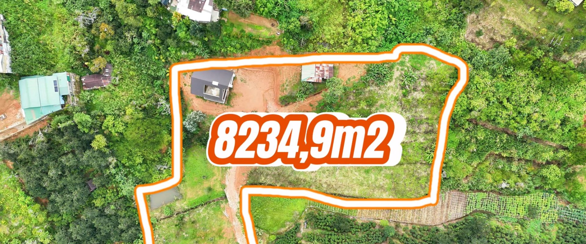 Đất View Rừng Thông Khe Sanh Đà Lạt 8234m2