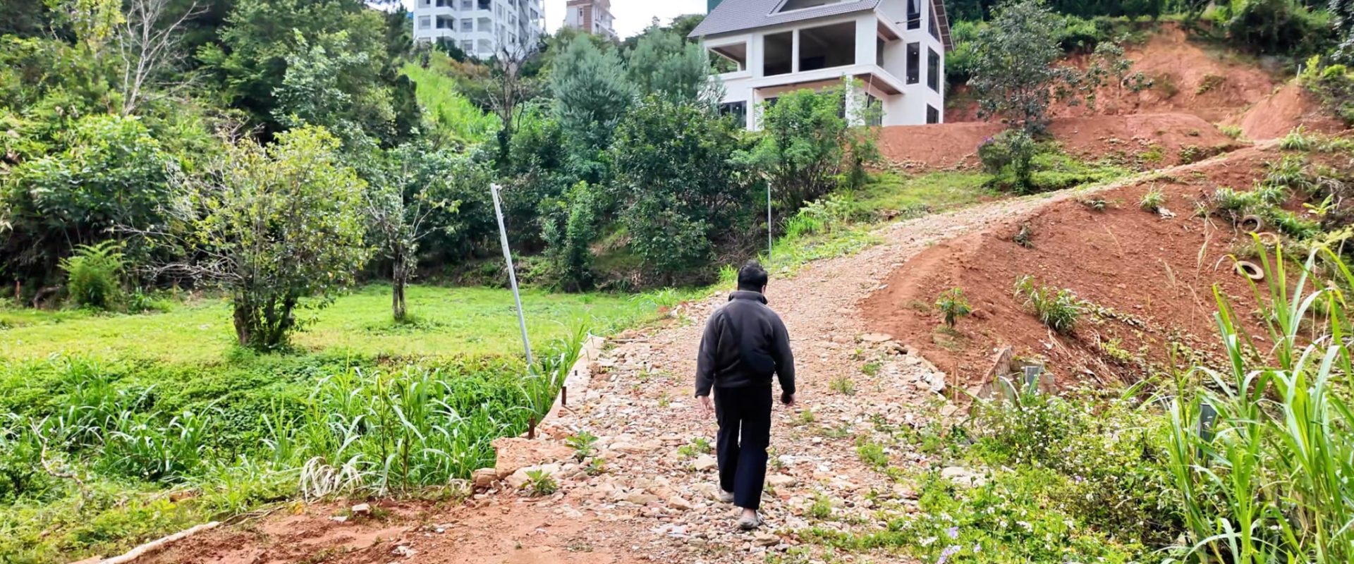 Đất View Rừng Thông Khe Sanh Đà Lạt 8234m2