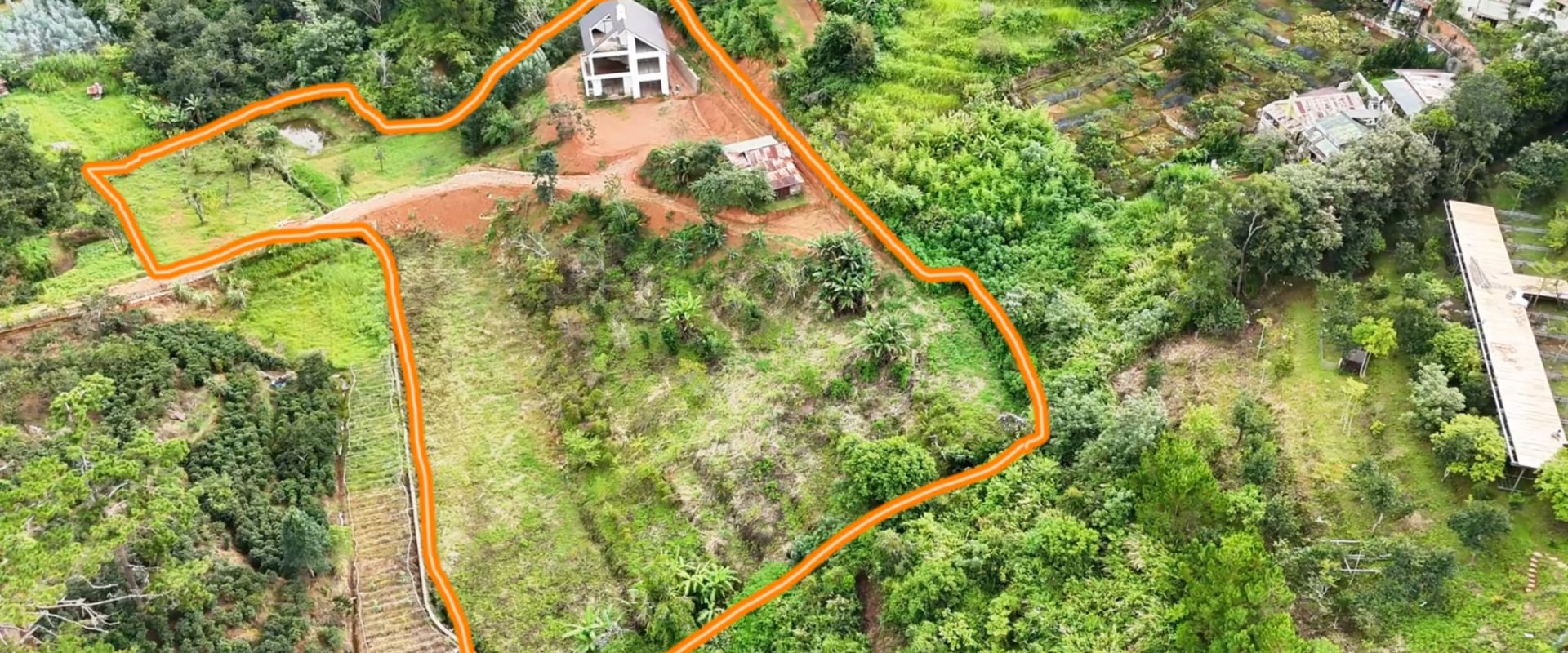 Đất View Rừng Thông Khe Sanh Đà Lạt 8234m2
