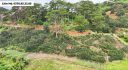 Đất View Rừng Thông Khe Sanh Đà Lạt 8234m2