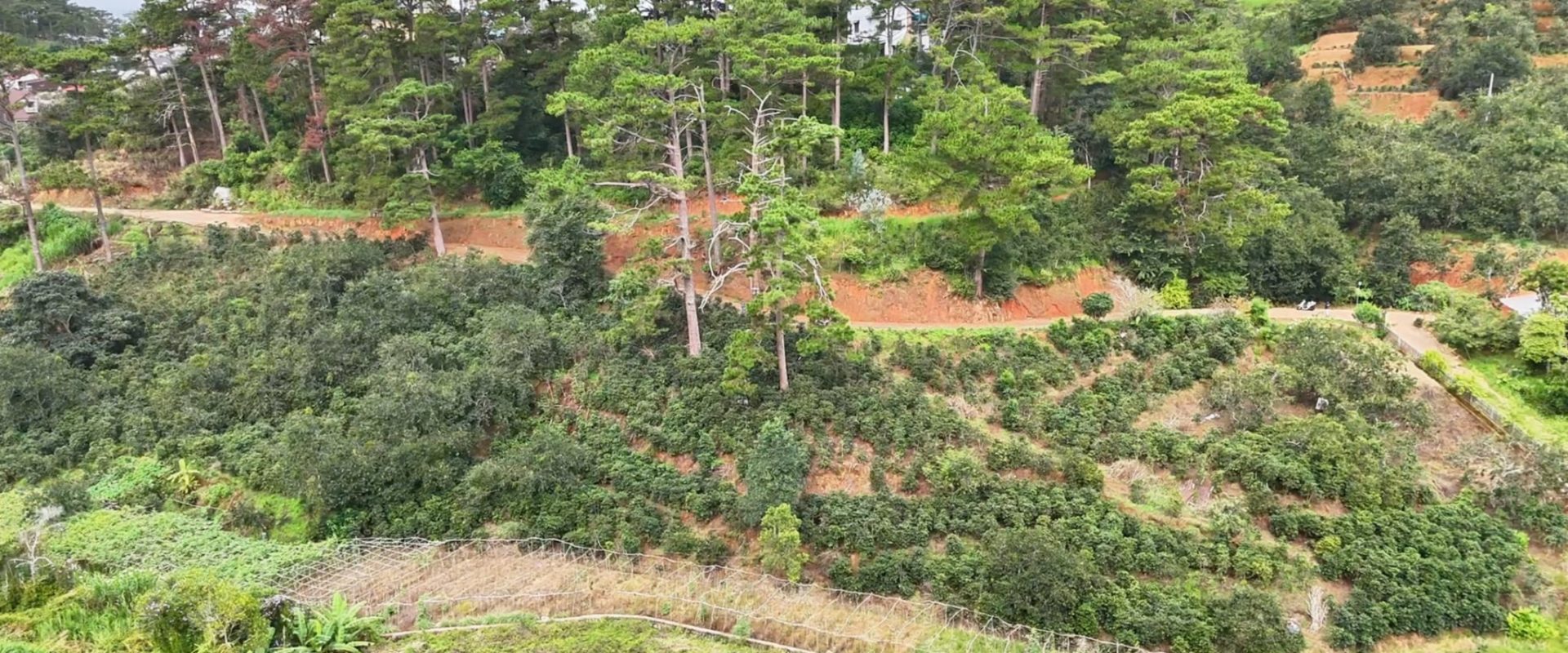 Đất View Rừng Thông Khe Sanh Đà Lạt 8234m2