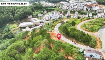 Đất An Sơn Đà Lạt View Rừng Thông 264,8m2