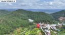 Đất Hoàng Hoa Thám Đà Lạt View Rừng Thông 2843m2