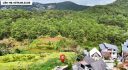 Đất Hoàng Hoa Thám Đà Lạt View Rừng Thông 2843m2
