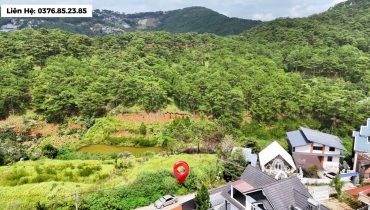 Đất Hoàng Hoa Thám Đà Lạt View Rừng Thông 2843m2